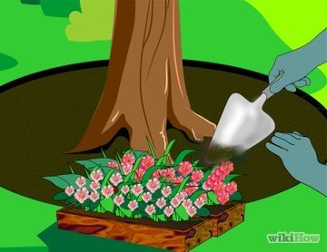 How ro plant a flower bed around a tree... Land Scaping, Plants Under Trees, Landscaping Around Trees, Tree Bed, Raised Flower Beds, Shade Flowers, Landscape Plans, Tree Roots, Container Garden