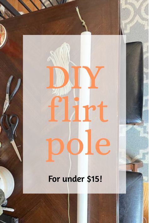 Dog Flirt Pole Diy, Flirt Pole For Dogs Diy, Dog Stimulation Diy Ideas, Dog Enrichment Ideas Diy, Diy Dog Enrichment, Dog Enrichment Ideas, Canine Enrichment, Enrichment Projects, Tetherball