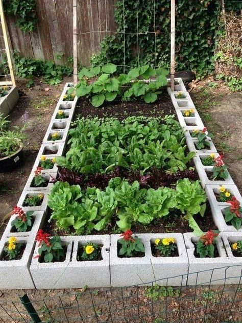 Decor Home Ideas Cinder Block Raised Garden Bed, Cinder Block Raised Garden, Unique Raised Garden Beds, Brick Raised Garden Beds, Easy Garden Ideas Landscaping, Square Foot Garden, Wooden Raised Garden Bed, Metal Raised Garden Beds, Cinder Blocks