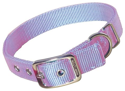 AmazonSmile : Hamilton Double Thick Nylon Deluxe Dog Collar, 1-Inch by 18-Inch, Lavender : Pet Collars : Gateway Dog Neck, D Ring, Pet Collars, Dog Collar, Fur Babies, Comfort Fit, Lavender, Pet Supplies, Pet