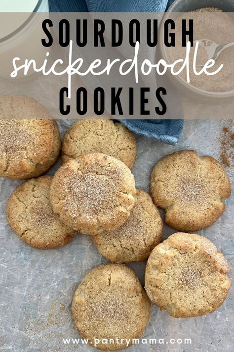 Sourdough Snickerdoodle Cookies Recipe, Snickerdoodle Sourdough Cookies, Cookies With Sourdough Discard, Sourdough Starter Discard Cookies, Sour Dough Cookie Recipe, Discard Christmas Cookies, Sourdough Discard Snickerdoodles, Sourdough Dessert Recipe, Sourdough Discard Snickerdoodle Cookies