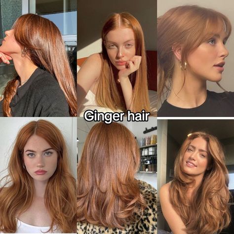 Hair Color Swatches, Brown Hair Looks, Hair Color Streaks, Ginger Hair Color, Blonde Hair Inspiration, Blonde Hair Looks, Brown Blonde Hair, Dye My Hair, Hair Inspiration Color