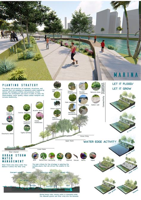 River Masterplan, Plan Concept Architecture, Landscape Architecture Presentation, Urbanism Architecture, Poster Architecture, Landscape Architecture Plan, Landscape And Urbanism Architecture, Landscape Design Drawings, Landscape Architecture Drawing