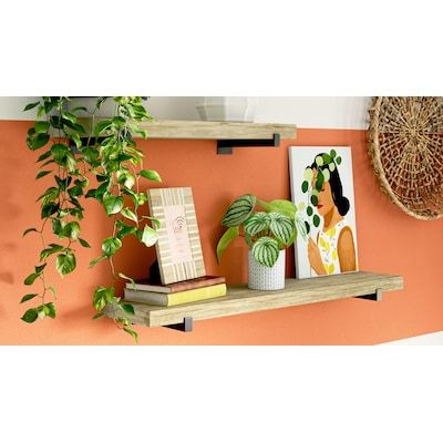 allen + roth Natural Wood Bracket Shelf 36-in L x 7.8-in D (1 Decorative Shelf) in the Wall Mounted Shelving department at Lowes.com Plant Furniture, Wood Closet Shelves, Wall Mounted Shelving, Wall Mounted Shelf, Bracket Shelf, Shelves Ideas, Decorative Shelf, Functional Style, Allen Roth