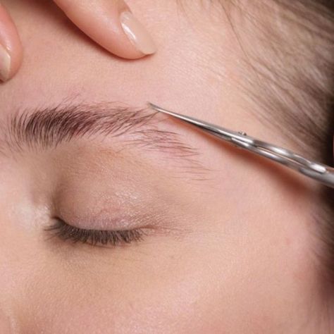 The Ultimate Guide To Survive Doing Your Eyebrows At Home – Society19 Brow Scissors, Brow Shaping Tutorial, Writing Gifs, Eyebrow Plucking, Eyebrows At Home, Best Eyebrow Makeup, Natural Eye Makeup Tutorial, Brow Threading, Plucking Eyebrows