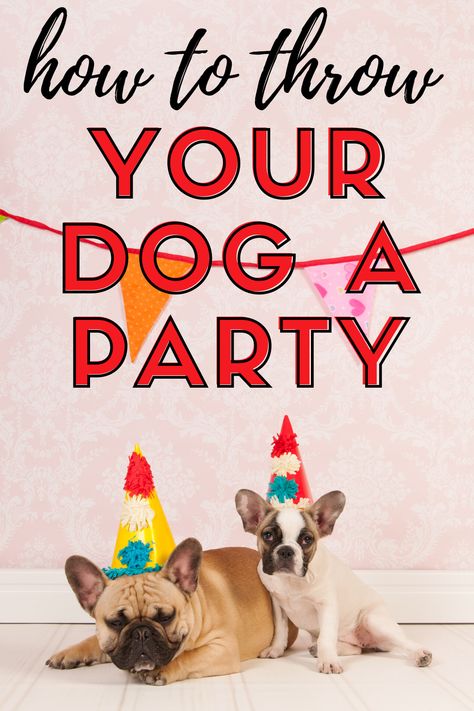 Dog Parties For Dogs, Small Dog Birthday Party, Dog’s First Birthday Party, One Year Old Dog Birthday, Doggie Bday Party Ideas, Birthday Party For Puppy, Dog’s Birthday Party, Dog’s First Birthday Ideas, First Birthday For Dog