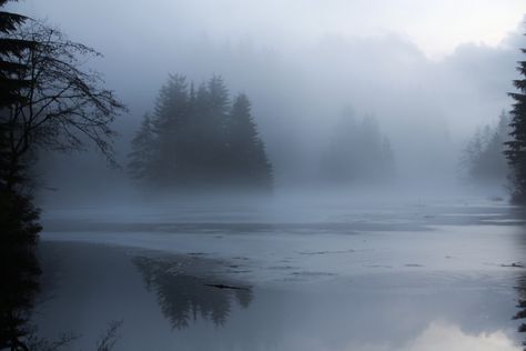 Aesthetic Borders, Mist Aesthetic, Black Swan Book, Blue Soul, Ice Lake, Lyrics Poster, Silver Mist, Forest Path, Learn Drawing