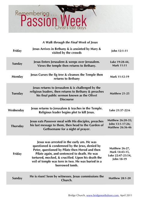 Passion Week, Life Of Christ, Bible Study Methods, Womens Bible Study, Christian Bible Study, Inspirational Verses, Bible Study Lessons, Bible Study Verses, Scripture Reading