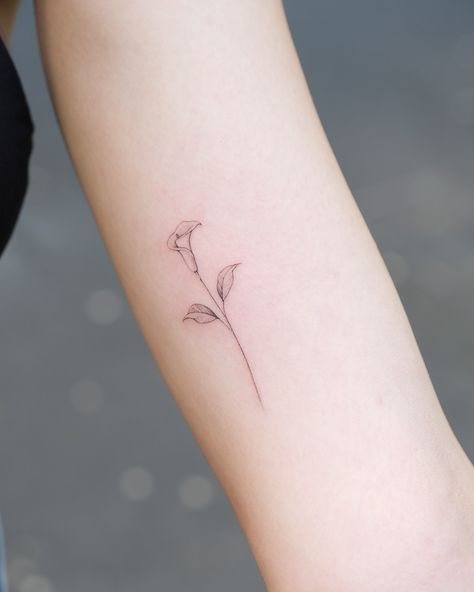 Calla lily ..🌸 • • • • #tattoo #tattoos #tattoogirl #tattooideas #smalltattoo #smalltattoos #smalltattooideas #littletattoo #tinytattoo #flowertattoo #minitattoo #minimaltattoo #fineline #finelinetattoo #finelinetattooartist #milanotattoo Minimal Lily Tattoo, Fineline Lily Tattoo, Fine Line Lily Tattoo, Calla Lily Tattoo, Lily Tattoos, Lily Flower Tattoos, Lily Tattoo, Elegant Tattoos, Little Tattoos