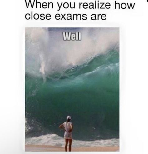 College Life Humor, University Memes, Exams Memes, Studying Funny, Studying Memes, Exams Funny, College Memes, Exam Quotes, Exam Quotes Funny