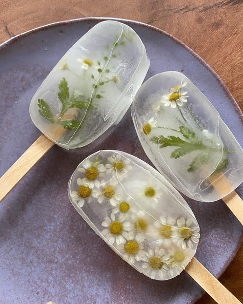 Aesthetic Luxe, Fancy Ice, Snacks Für Party, Edible Flowers, Ice Cubes, Beautiful Food, Green Aesthetic, Pretty Food, Food Design