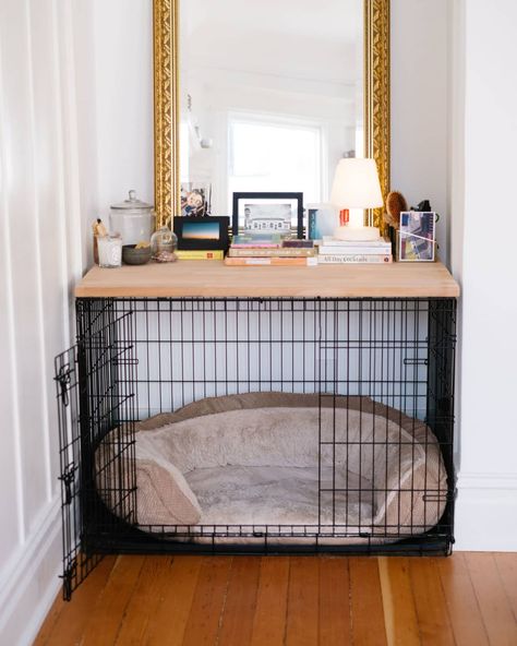 Browse Photos | Apartment Therapy Dog Apartment Living, Diy Dog Crate, Dog Storage, Apartment Dogs, Dog Spaces, Clever Dog, Dog Crate Furniture, Optimize Space, Crate Furniture