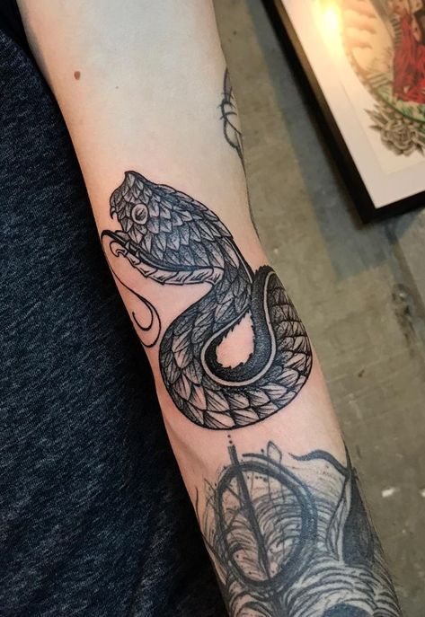 Viper Tattoo Design, Viper Tattoo, Bush Viper Tattoo, Moomin Tattoo, Phoenix Makeup, Aztec Statues, Angle Tattoo, Viper Snake, Web Tattoo