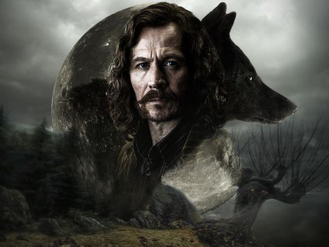 I got: Sirius Black (Padfoot)! Which Marauder From Harry Potter Are You? Harry Potter Fanları, Film Harry Potter, Art Harry Potter, Images Harry Potter, Bellatrix Lestrange, Prisoner Of Azkaban, Gary Oldman, Harry Potter Film, Harry Potter Cast