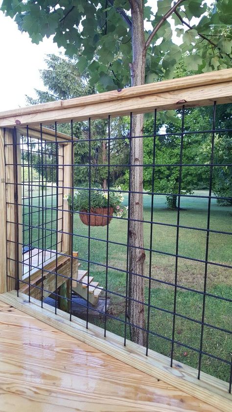 Cattle Panel Fence Diy Deck Railings, Deck Railings That Dont Block View, Hog Wire Fence Ideas, Cattle Panel Fence, Wire Deck Railing, Decks Ideas, Hog Wire Fence, Cattle Panels, Garden Fences