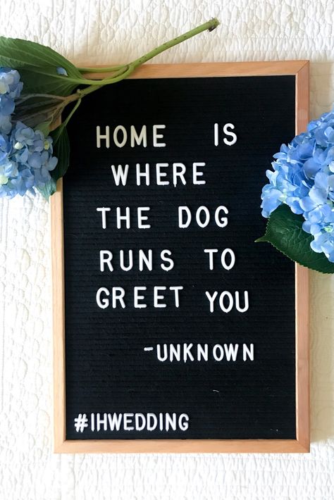 "Home is where the dog runs to greet you."  . . . #dogquotes #dogsinweddings #weddingplanning Letter Board Quotes Dogs, Dog Letterboard Quotes, Dog Letterboard, Backyard Cleanup, Neighbor Quotes, Letterboard Quotes, Message Board Quotes, Board Quotes, Dog Runs