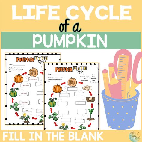 🌿🍂 New Fall-Themed Science Resources! 🎃✨ I’m so excited to introduce TWO new pumpkin life cycle activities, perfect for your fall science lessons! 🍁 🍂 Pumpkin Life Cycle Worksheet: Students will love filling in the stages of a pumpkin's growth with this colorful, easy-to-follow worksheet. Great for grades 1-3! 🍁 Pumpkin Life Cycle Matching Game: A hands-on activity where students match pictures, names, and definitions for each stage. Perfect for reinforcing life cycle lessons in a fun, int... Life Cycle Worksheet, Life Cycle Activities, Fall Science, Pumpkin Life Cycle, Life Cycles Activities, Plant Life Cycle, Word Bank, Teaching Life, Science Resources