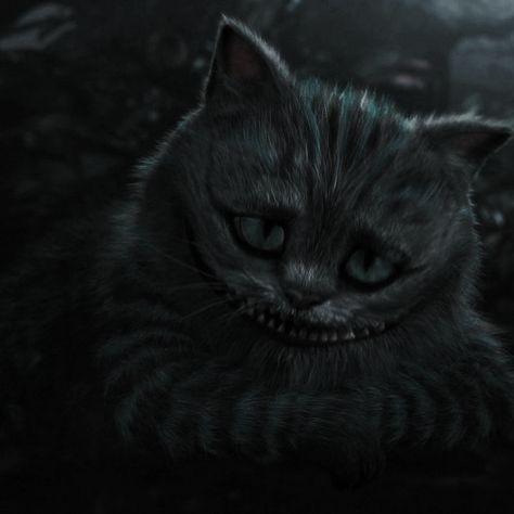 Alice In Wonderland Dark Aesthetic, Dark Alice In Wonderland Aesthetic, Cheshire Aesthetic, Cheshire Cat Aesthetic, Heartless Aesthetic, Cheshire Cat Alice In Wonderland, Dark Alice In Wonderland, Tim Burton Characters, Alice In Wonderland Aesthetic