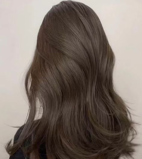 Brunnet Hair Ash, Ash Mocha Brown Hair, Ash Brown Full Hair Color, Cool Mushroom Brown Hair, Mute Brown Hair Color, Ash Brown Hair Cool Tone, Med Ash Brown Hair, Cool Dark Ash Brown Hair, Korean Hair Brown