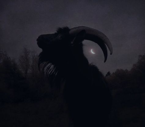 Nona Limmen Nona Limmen, Horror Photography, Dark Naturalism, Black Goat, Dark Creatures, Occult Art, Black Artwork, Scary Art, Witch Aesthetic