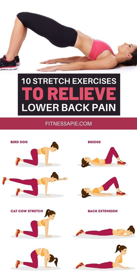 Stretching and other light exercises can reduce the agony in your lower back. Taking the time to incorporate a few stretch exercises into your daily routine should make a big difference in the way you feel. In this article, we are going to look at 10 amazing stretching exercises that will help you relieve lower back pain #stretching #exercises #backpain #lowerback Lower Back Pain Stretches, Low Back Stretches, Back Stretches For Pain, Lower Back Pain Exercises, Yoga Kurse, Yoga Online, Yoga For Back Pain, Light Exercise, Lower Back Pain Relief