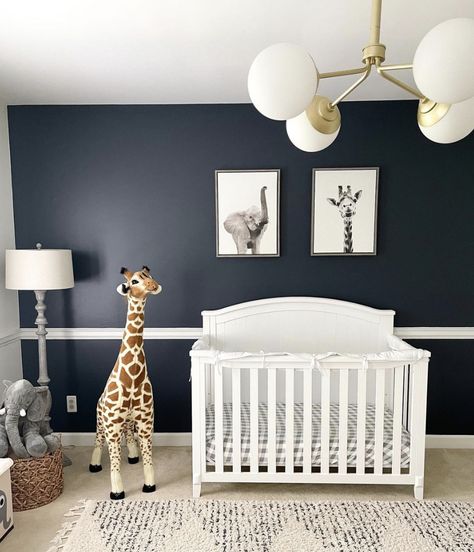 Navy Blue Accent Wall Nursery, Kids Bedroom Ideas For Girls Toddler, Dark Accent Wall, Diy Room Decor For Girls, Navy Blue Nursery, Baby Safari Nursery, Gender Neutral Kids Room, Kids Rooms Shared, Toddler Decor