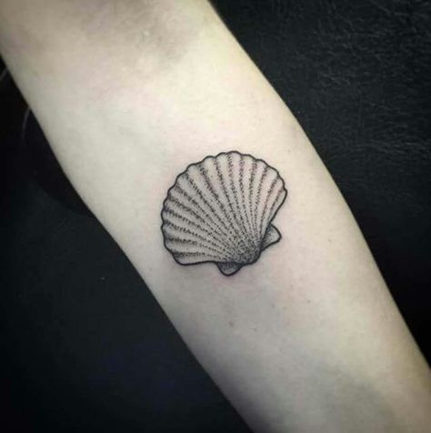 Shell Tattoo Meaning, Shell Tattoo, Seashell Tattoos, Tattoo Diy, Shell Tattoos, Tattoo Dotwork, Tattoo Zeichnungen, Inspiration Tattoos, Disney Tattoo