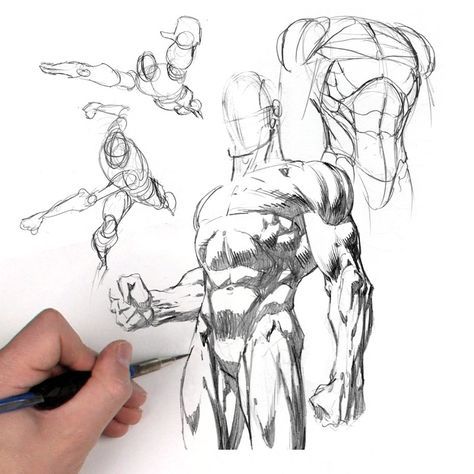 Human Figure Drawing | Drawing Body Figures In Different Poses | My Drawing Tutorials | Portrait Drawing | Figure Drawing Dynamic Figure Drawing, Best Art Books, Figure Drawing Tutorial, David Finch, Male Figure Drawing, Human Figure Drawing, Drawing Cartoon Characters, Different Poses, Art Tumblr