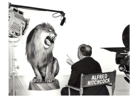 Alfred Hitchcock directing the MGM Lion, 1958. Photograph by Clarence Sinclair Bull Mgm Lion, Michelangelo Antonioni, John Russell, Pier Paolo Pasolini, Il Re Leone, Foto Langka, Metro Goldwyn Mayer, Roaring Lion, I Love Cinema