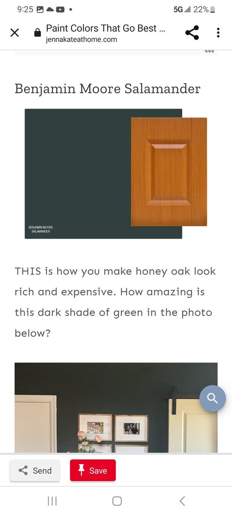 Bm Salamander, Honey Oak, How To Look Rich, Dark Shades, Shades Of Green, Paint Colors, Color, Paint Colours