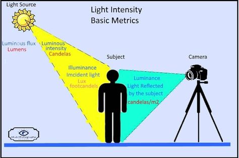 What Are The Different Types Of Light In Photography? - Ehab Photography Light Meter, Types Of Lighting, Photography Tutorials, Light Photography, Educational Materials, Digital Photography, Subjects, Photography Tips, Landscape Photography