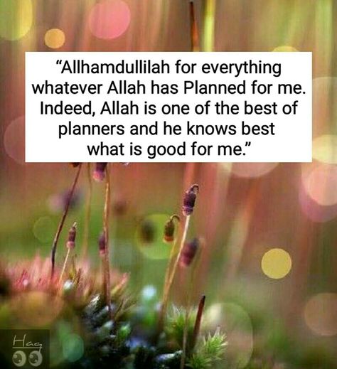 Alhamdulillah For Everything, Whats Good, Quran Quotes Inspirational, Quran Quotes, Quran, Inspirational Quotes, Good Things, How To Plan, Quotes