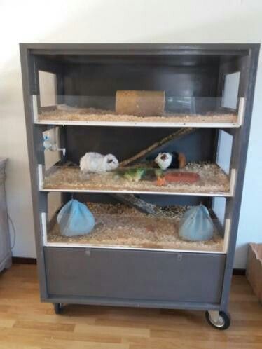 Pet Cage Ideas, Hamster Enclosure, Hedgehog Cage, Guinea Pig Diy, Snake Enclosure, Guinea Pig Hutch, Guinea Pig Cages, Russian Tortoise, Hamster Habitat