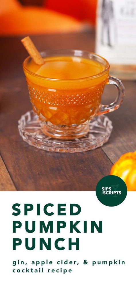 Christmas Holiday Cocktails, Pumpkin Cocktail Recipes, Pumpkin Punch, Pumpkin Spice Cocktail, Autumn Cocktail, Healthy Cocktail Recipes, Batch Cocktail Recipe, Halloween Eats, Publix Recipes