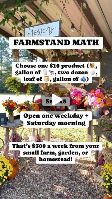 Roadside Farmstand Ideas, Farm Stand Product Ideas, Small Farm Stand Ideas, Farmstand Display Ideas, Farm Business Ideas, Diy Farm Stand How To Build, Farmstand Ideas Small Farm, Honor System Farm Stand, Farm Stands Roadside