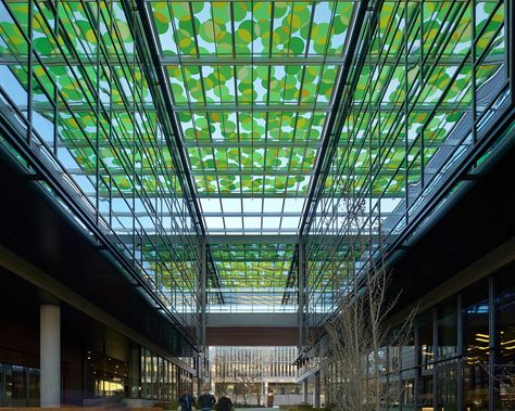 Amazon HQ - Technographic Interlayer Roll In Showers, Glass Architecture, Glass Canopy, Glass Photography, Laminated Glass, Ceiling Tiles, Decorative Glass, Canopies, Glass Ideas