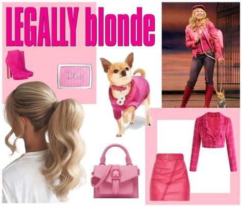 Elle Woods Costume, Legally Blonde Outfits, Blonde Outfits, Legally Blonde Elle Woods, Preppy Wall Collage, Costumes 2024, Lawyer Outfit, Elle Woods, Diy Costume