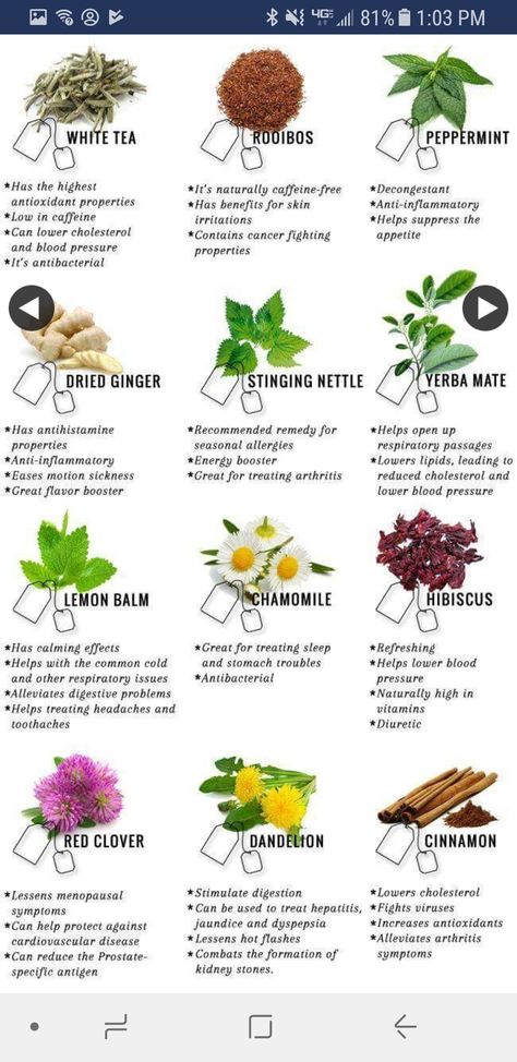 Herbs And Their Uses, Tea Remedies, Types Of Herbs, Tea Health Benefits, Resep Diet, Tea Benefits, حلويات صحية, Detox Tea, Detox Smoothie