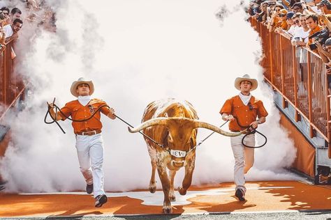 Longhorn Wallpaper, Texas Longhorns Wallpaper, Longhorns Wallpaper, Austin Vibes, Texas Vibes, Dorm Prints, Ut Football, Ut Longhorns, Texas Baby