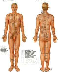 Pressure Point Chart, Pressure Points Chart, Acupressure Points Chart, Acupressure Chart, Human Muscular System, Body Pressure Points, Acupuncture Points Chart, Pressure Point Therapy, Reflexology Foot Chart