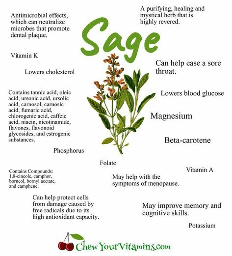 Sage Tea Benefits, Benefits Of Sage, Sage Tea, Medical Herbs, Magic Herbs, Magical Herbs, Herbal Apothecary, Natural Healing Remedies, Healing Plants