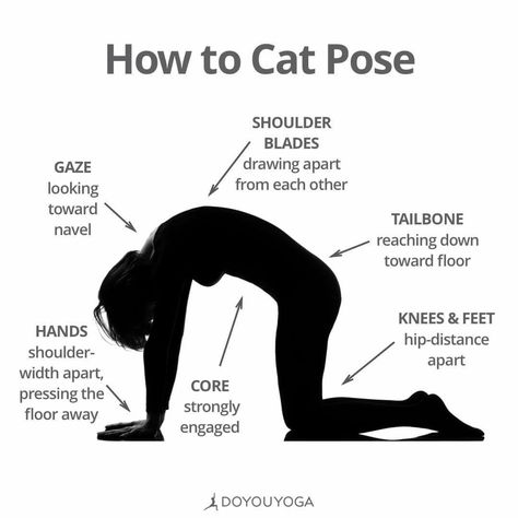 Cat Pose Yoga, Yoga Knowledge, Everyday Workouts, Yoga Inspiration Photos, Yoga Teacher Resources, Yoga Teaching, Yoga Cat, Yoga Journey, Daily Yoga Workout