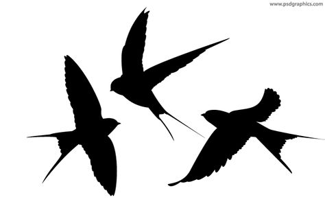 Swallow sillhoettes on the front then full size swallow on my back Swallow Silhouette, Tiny Bird Tattoos, Silhouette Tattoo, Dove Tattoos, Open Wings, Silhouette Tattoos, Spiritual Tattoos, Hand Crafts For Kids, Bird Logos