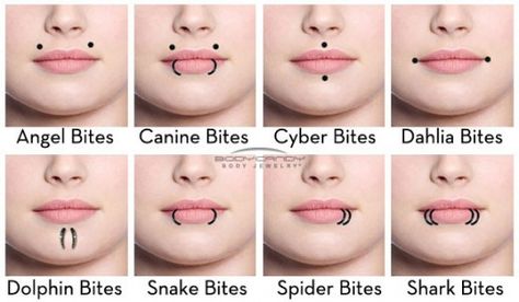 Other Lip Piercings Spiderbite Piercings, Piercing Bump, Piercings Bonitos, Piercing Bouche, Mouth Piercings, Spider Bite Piercing, Types Of Facials, Surface Piercing, Piercing Chart