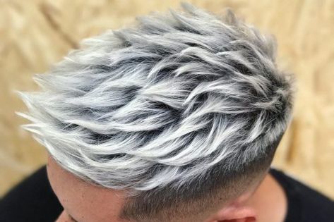 37 Incredible Silver Hair Color Ideas in 2018 Braids Rasta, Hair Color Men, Silver Hair Men, Rasta Hair, Low Taper Fade Haircut, Dyed Hair Men, Mens Hair Colour, Faux Hair, Taper Fade Haircut