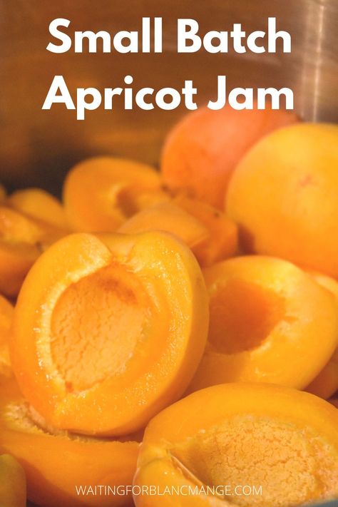 Small Batch Jam Recipes, Large Batch Peach Jam, Easy Jams, Apricot Jam Recipe With Pectin, Small Batch Peach Jam, Easy Apricot Jam Recipe, Courgette Bread, Peach Apricot Jam, Apricot Jam In Microwave