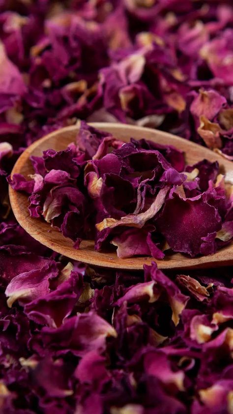 Best Flowers For Health: 8 flowers that should be added to teas to increase its medicinal value | Times of India Castor Oil Face, Castor Oil For Face, Tea Flowers, Cucumber For Face, Lavender Petals, Indian Flowers, For Healthy Skin, Dried Rose Petals, Flower Tea