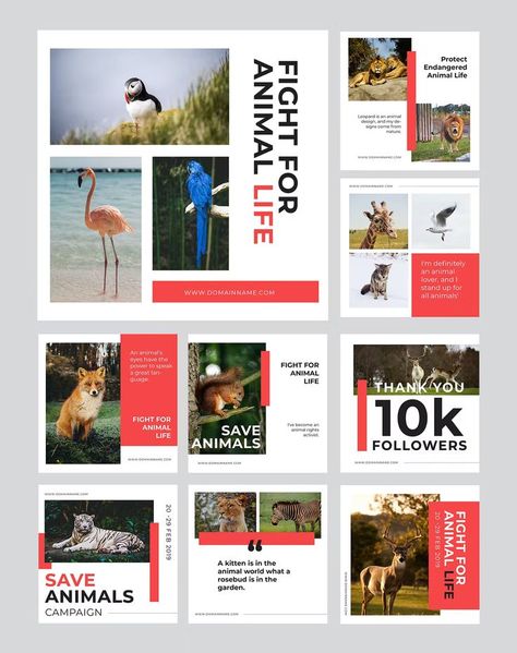 Animal Protection Social Media Templates PSD, AI, EPS Social Media Kit, Media Campaign, Animal Protection, Pet Signs, Social Media Campaign, Save Animals, Social Media Templates, Media Kit, Instagram Post Template