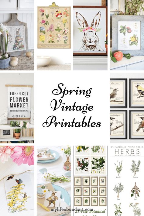 Beautiful vintage spring printables for any home decor. Spring flowers, herbs, birds, bunnies, and more. #decor #spring #easter Free Vintage Easter Printables, Easter Free Printables, Vintage Spring Aesthetic, Vintage Easter Printables, Vintage Spring Wedding, Color Palette Vintage, Vintage Spring Decor, Spring Printables Free, Spring Mantle Decor