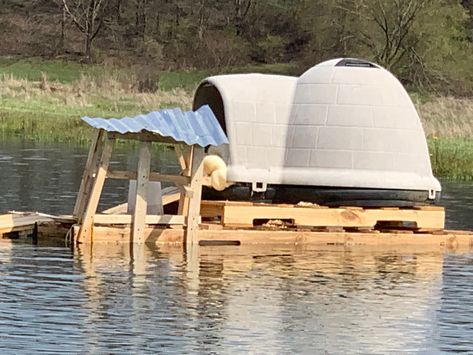 Floating Duck House For Pond, Diy Floating Duck House, Floating Duck House, Duck House Diy, Duck Care, Backyard Ducks, Lake Fun, Acre Homestead, House Lake